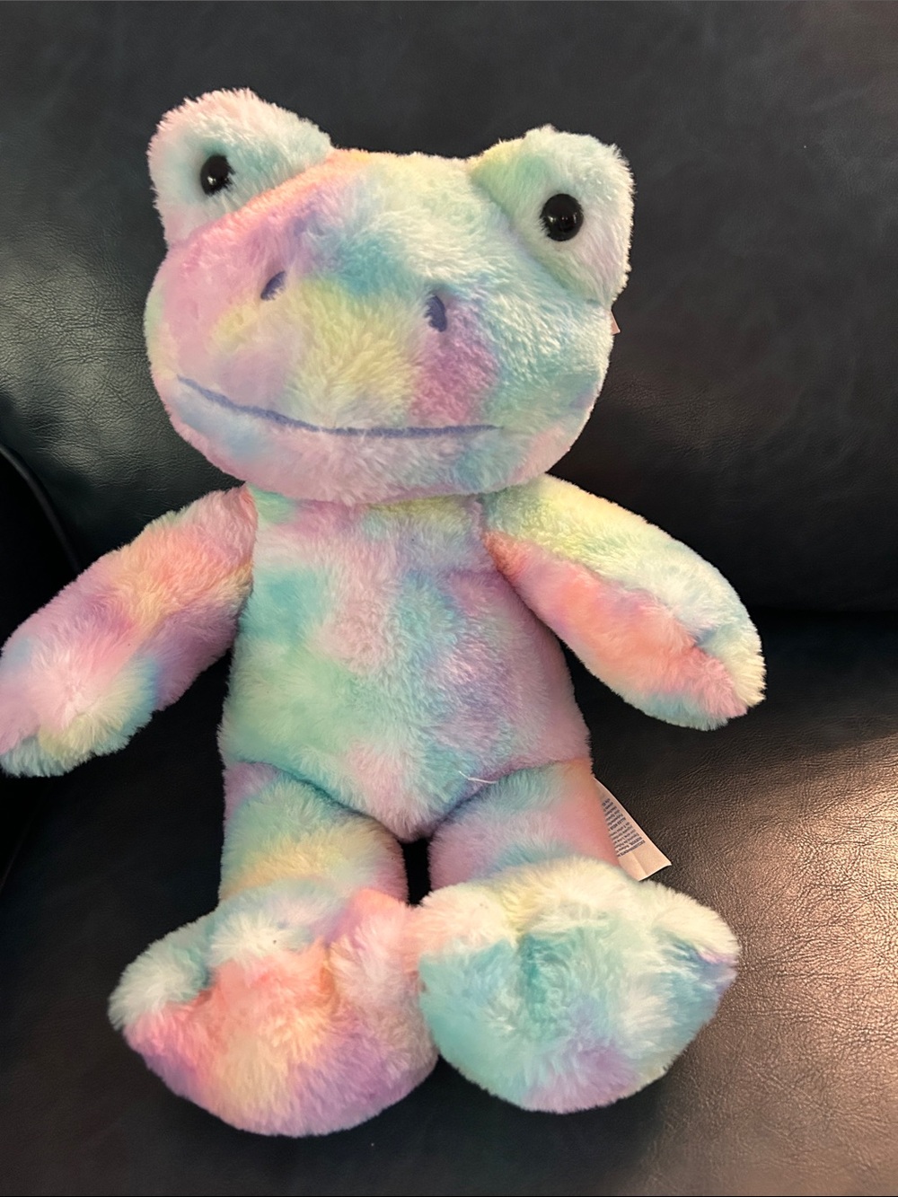 Build-A-Bear Frog Lot - Picture 2 of 16